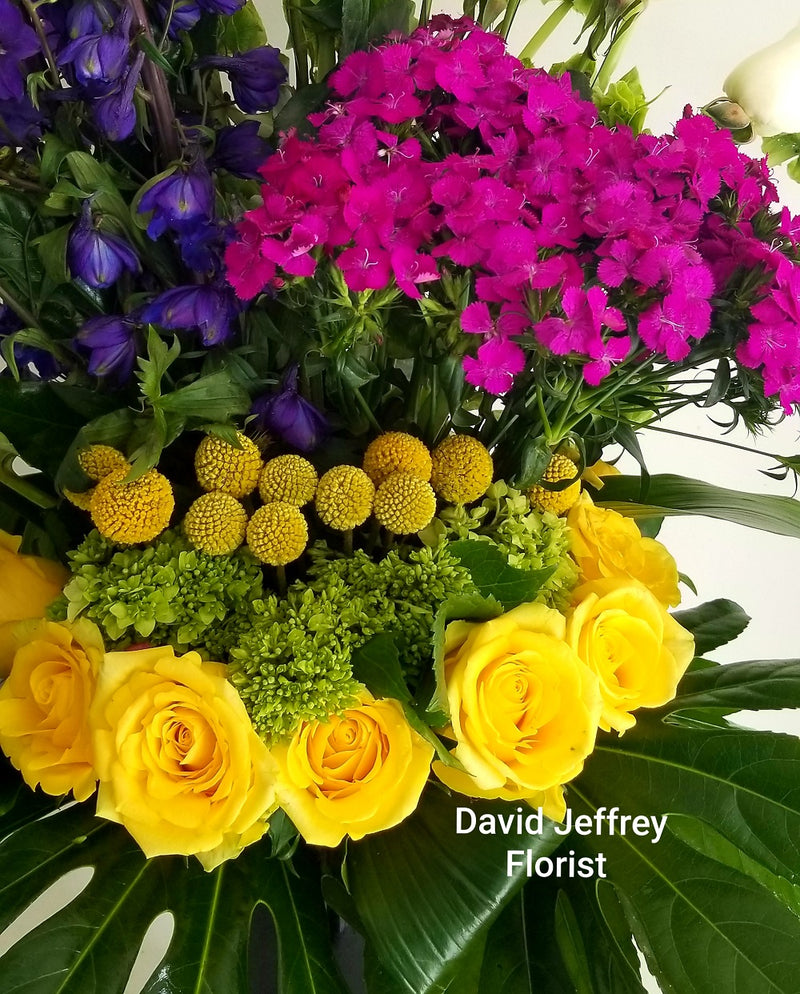 David Jeffrey's Blooms