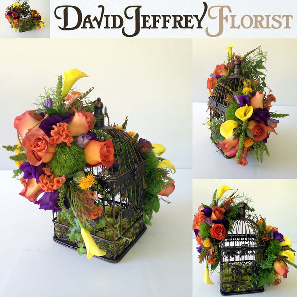 David Jeffrey's Autumn Birdcage