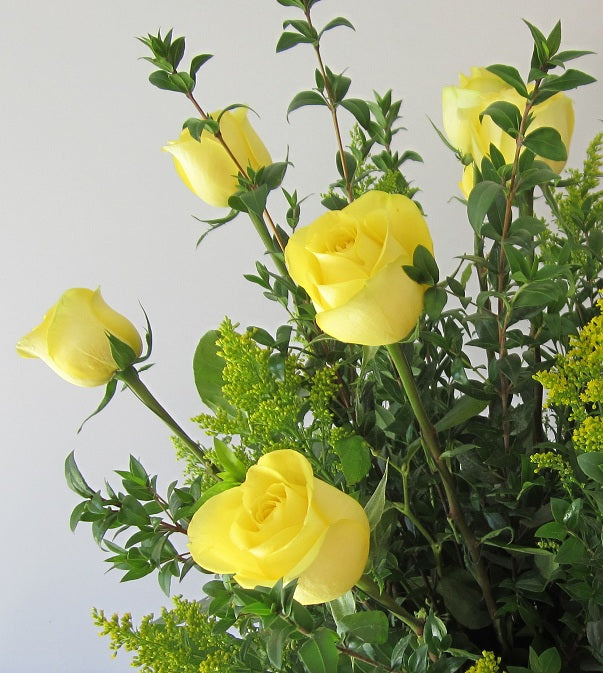 David Jeffrey's Roses - Yellow