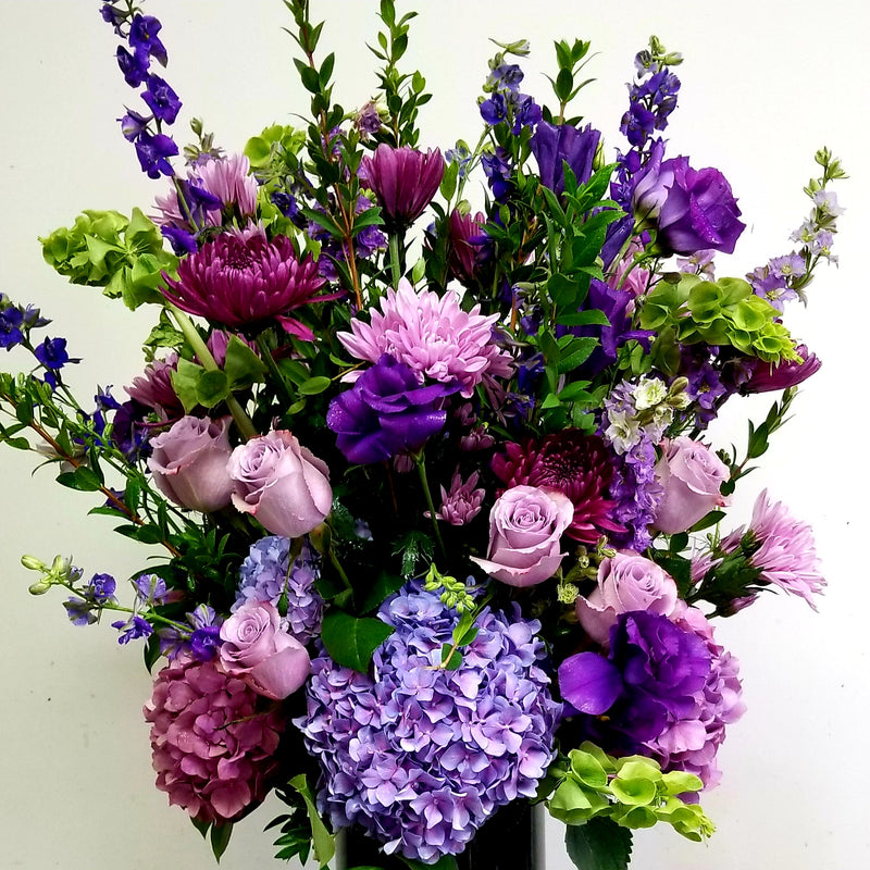 DAVID JEFFREY'S SHADES OF PURPLE