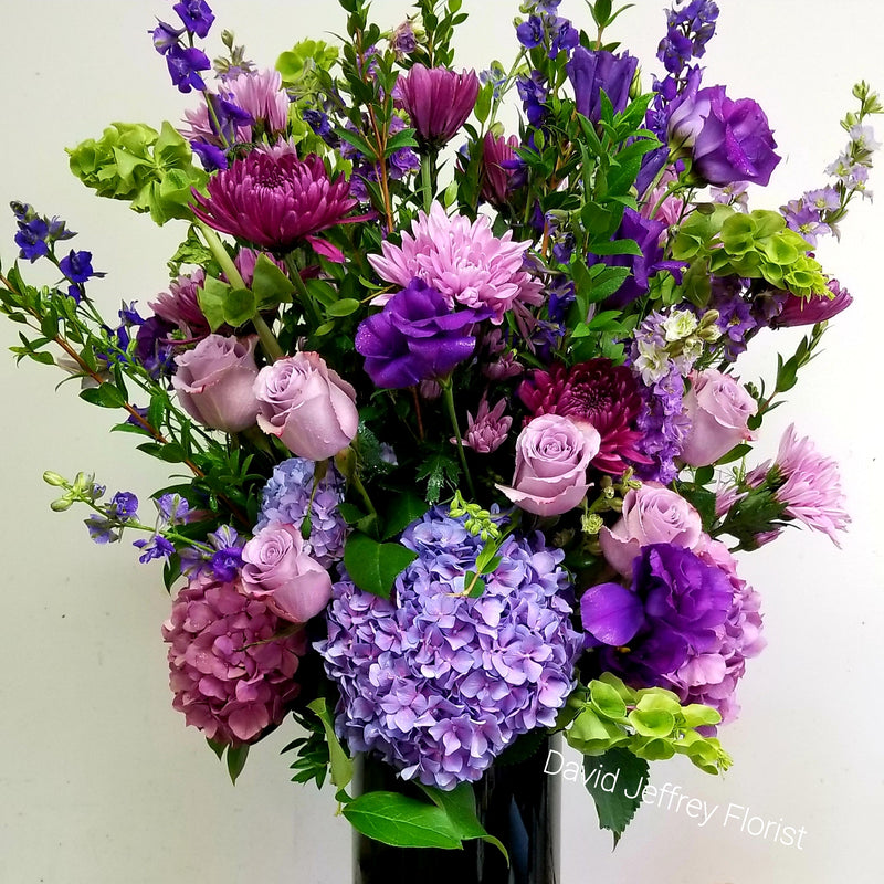 DAVID JEFFREY'S SHADES OF PURPLE