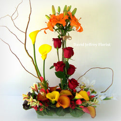 David Jeffrey's Autumn Garden