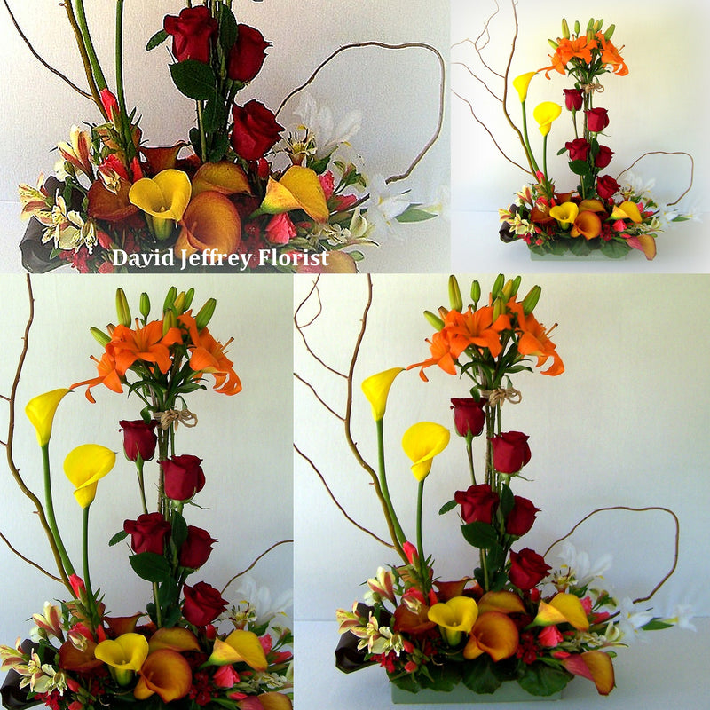 David Jeffrey's Autumn Garden