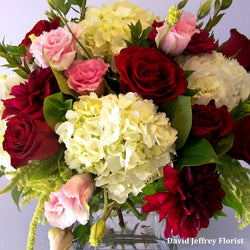 David Jeffrey's Congratulations Mom