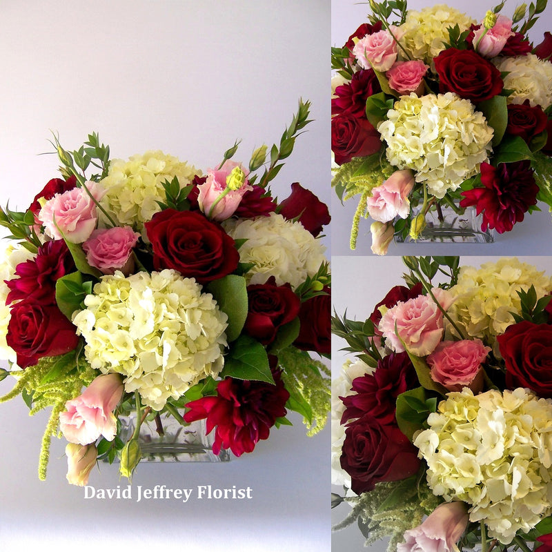 David Jeffrey's Congratulations Mom