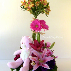 David Jeffrey's Baby Garden Basket