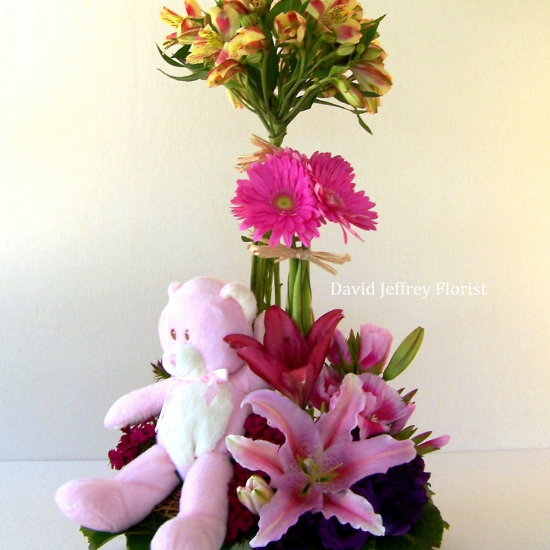 David Jeffrey's Baby Garden Basket