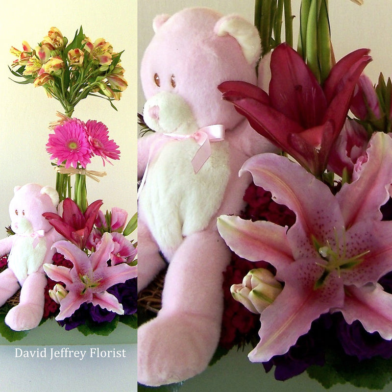 David Jeffrey's Baby Garden Basket