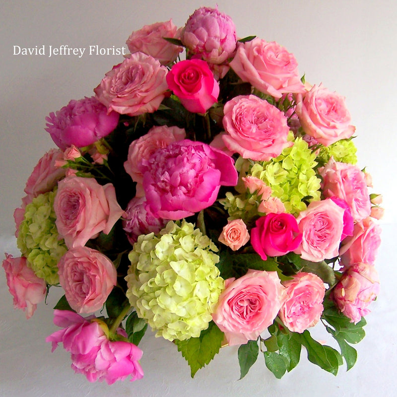 David Jeffrey's Blushing Romance