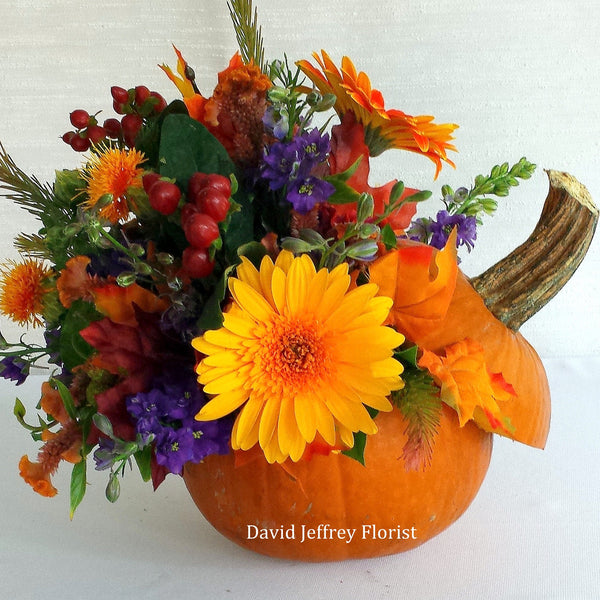 David Jeffrey's Pumpkin