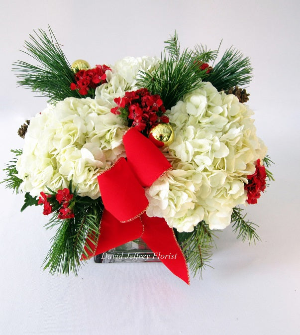 David Jeffrey's Christmas Cluster