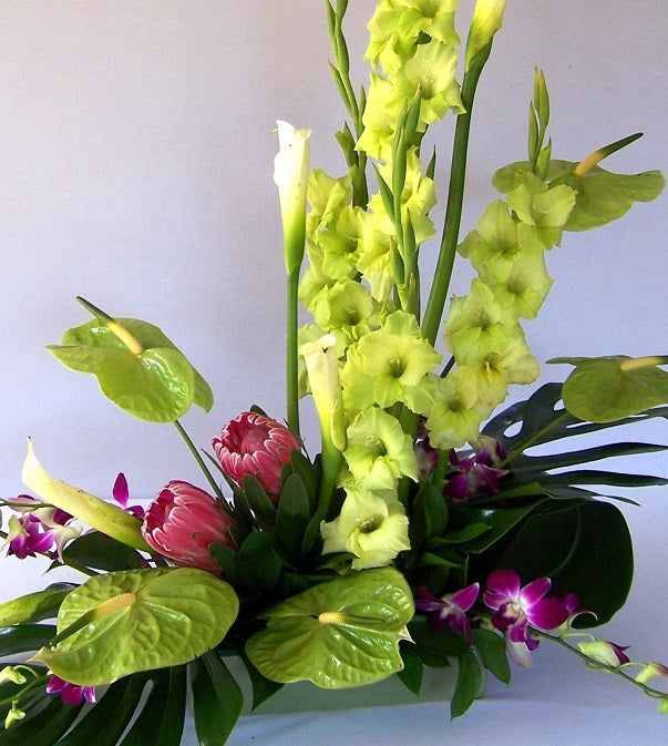 David Jeffrey's Contemporary Green