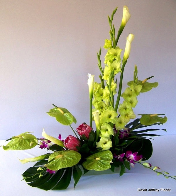 David Jeffrey's Contemporary Green