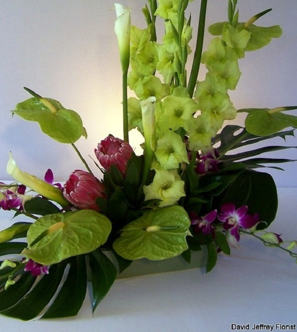 David Jeffrey's Contemporary Green