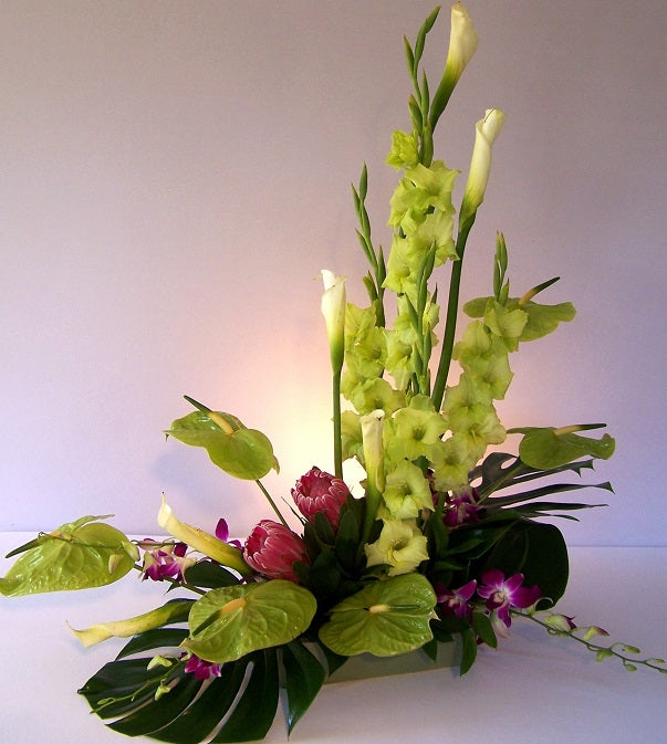 David Jeffrey's Contemporary Green
