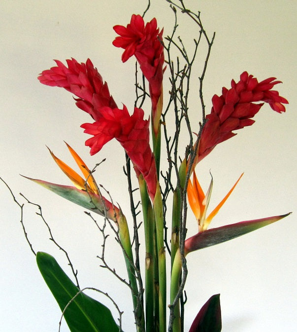 Contemporary Flower Design by David Jeffrey Florist 