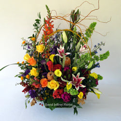 David Jeffrey's Autumn Colors