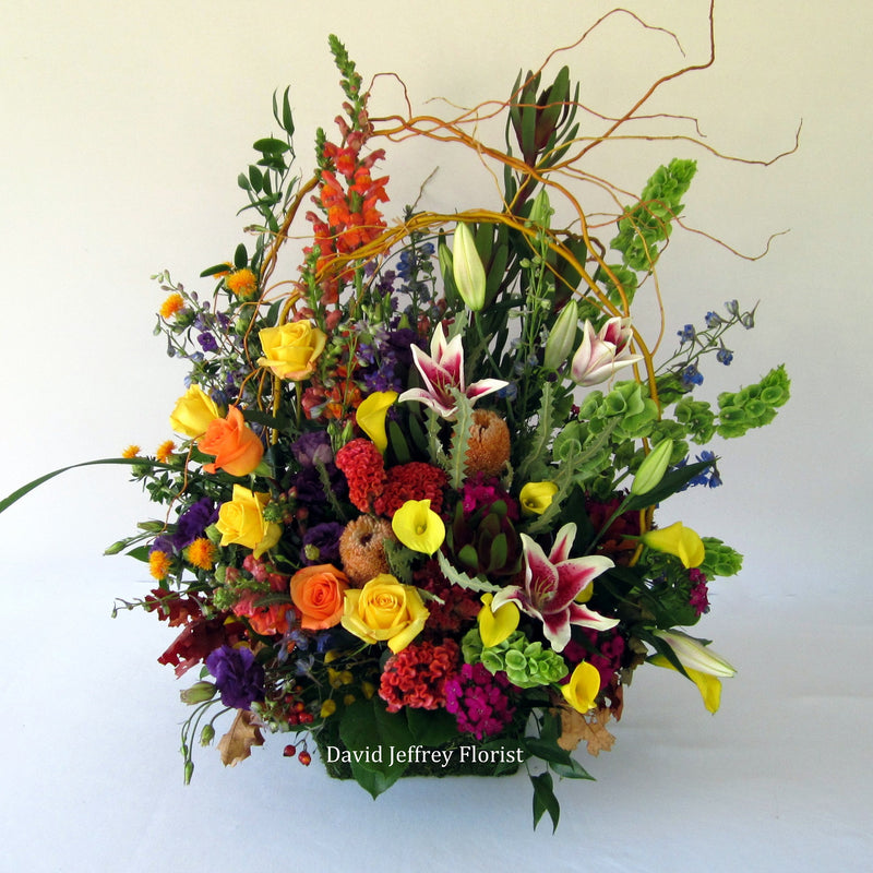 David Jeffrey's Autumn Colors