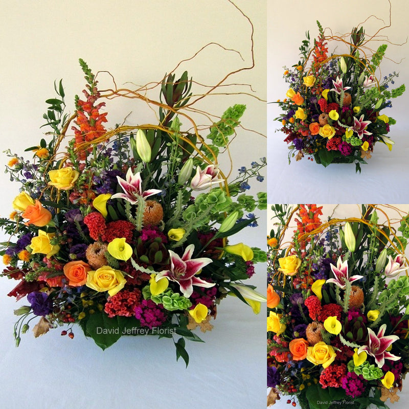 David Jeffrey's Autumn Colors