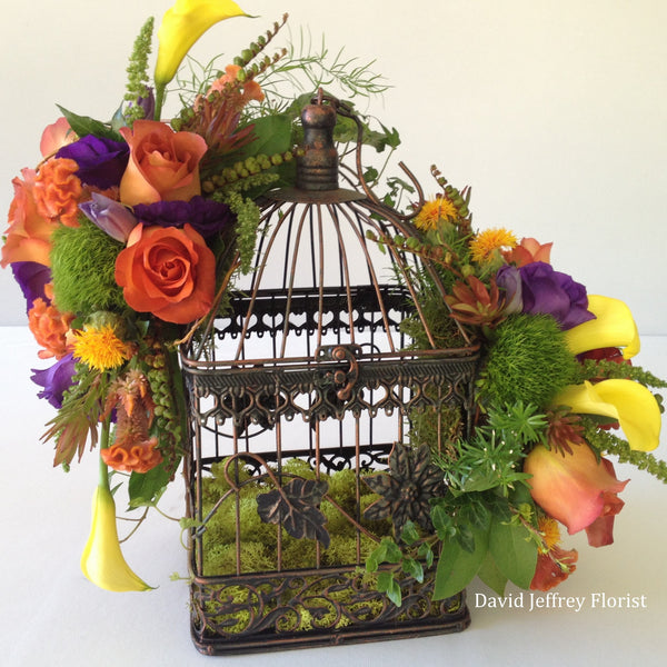 David Jeffrey's Autumn Birdcage