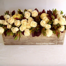 David Jeffrey's White Autumn