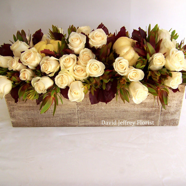 David Jeffrey's White Autumn