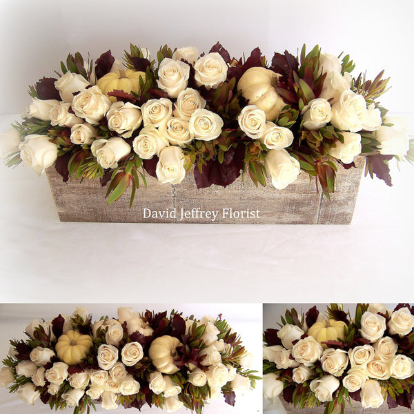 David Jeffrey's White Autumn