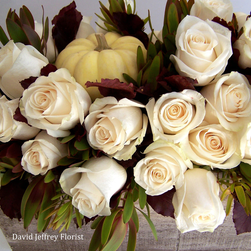 David Jeffrey's White Autumn