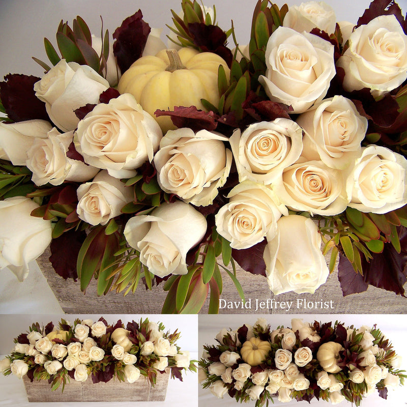 David Jeffrey's White Autumn
