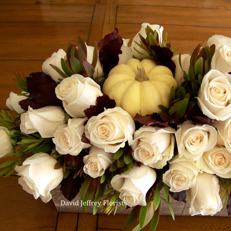 David Jeffrey's White Autumn