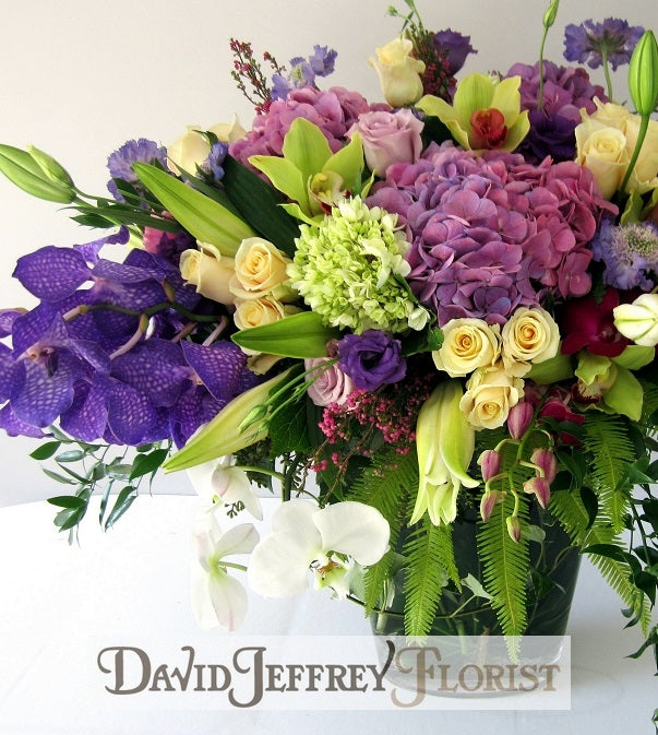 David Jeffrey's Forever Love