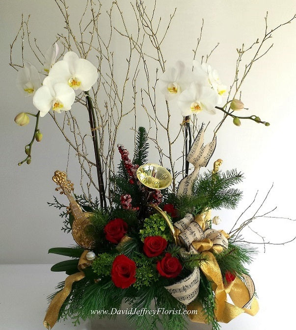 David Jeffrey's Golden Orchids