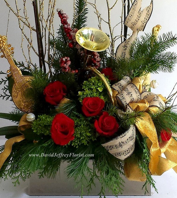 David Jeffrey's Golden Orchids