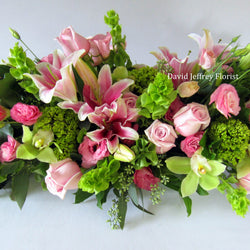 David Jeffrey's Pink Blossom