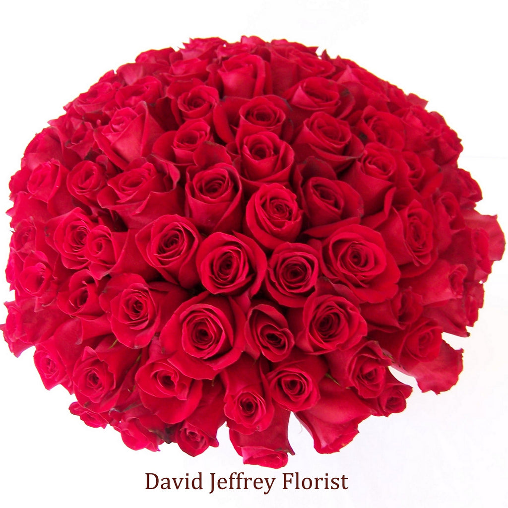 Expensive Roses David David Rose Flower