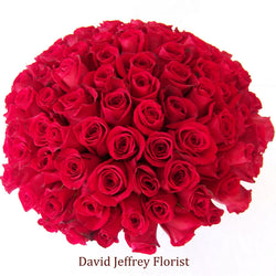 David Jeffrey's Red Rose Cluster