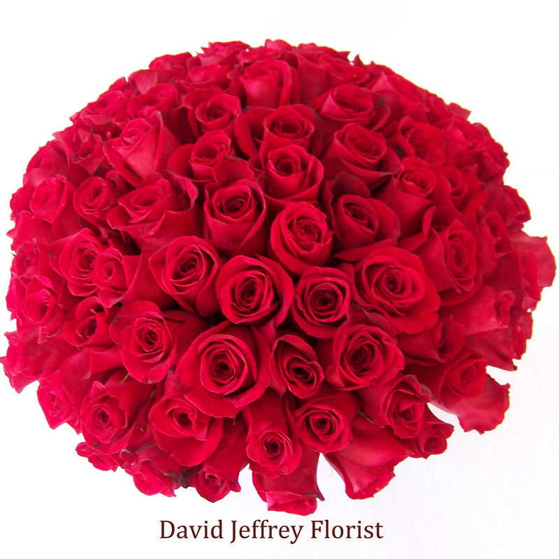 David Jeffrey's Red Rose Cluster