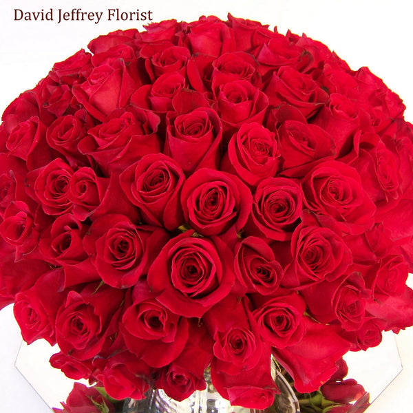 David Jeffrey's Red Rose Cluster