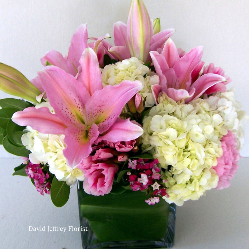 David Jeffrey's Sweet Pink