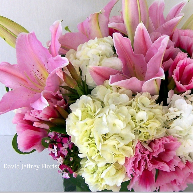 David Jeffrey's Sweet Pink
