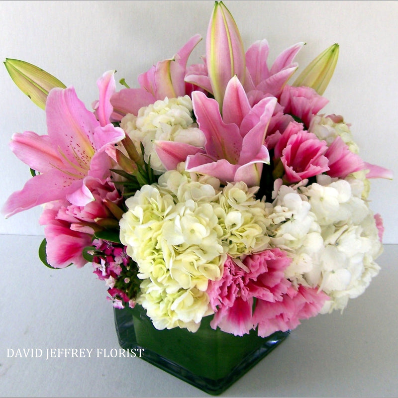 David Jeffrey's Sweet Pink