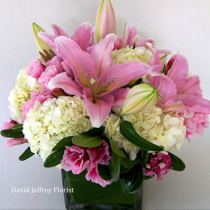 David Jeffrey's Sweet Pink
