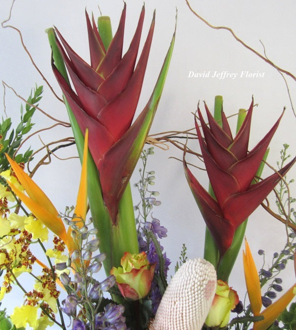 Tropical Flowers by David Jeffrey Florist 