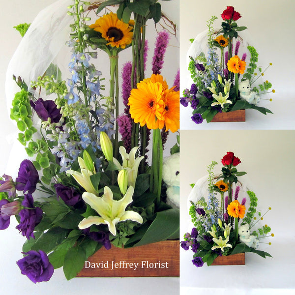 David Jeffrey's Welcome To The Family