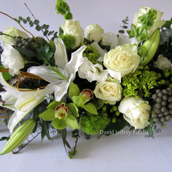 David Jeffrey's White Blossom