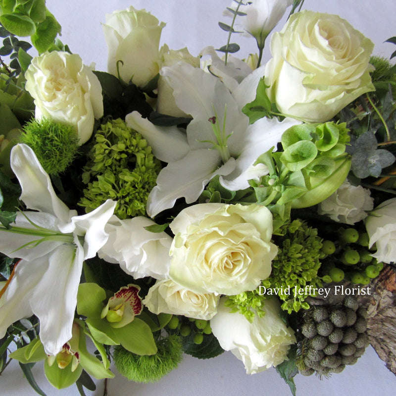 David Jeffrey's White Blossom