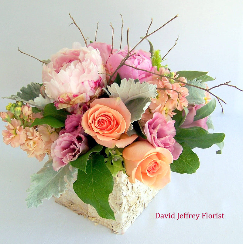 David Jeffrey's Rustic Birch