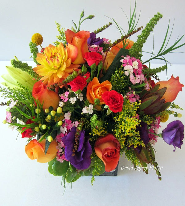 David Jeffrey's Wildflower