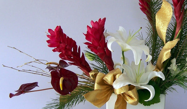 David Jeffrey's Contemporary Christmas