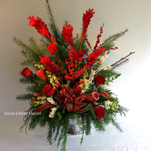 David Jeffrey's Red Ginger Christmas